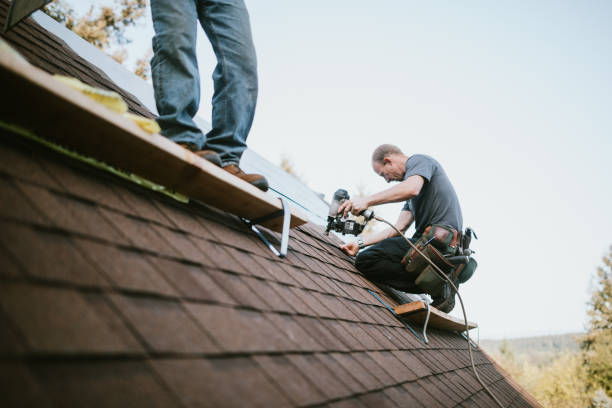Best Metal Roofing Contractor  in Big Lake, WA